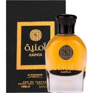 AMNIA