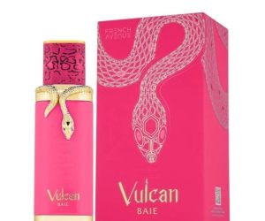 VULCAN BAIE